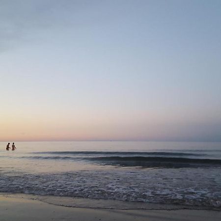 Mehari Rimini - Family Hotel 外观 照片